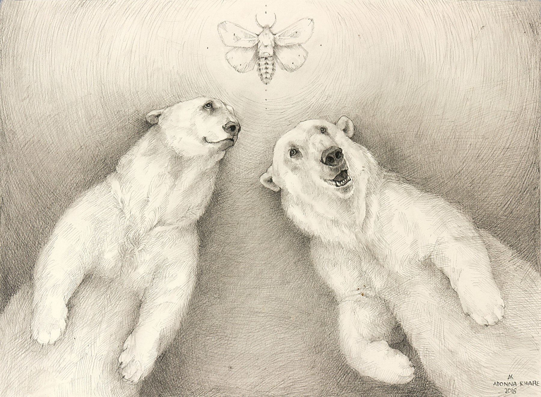 adonna Khare , Polar Bears and Moth, 2018