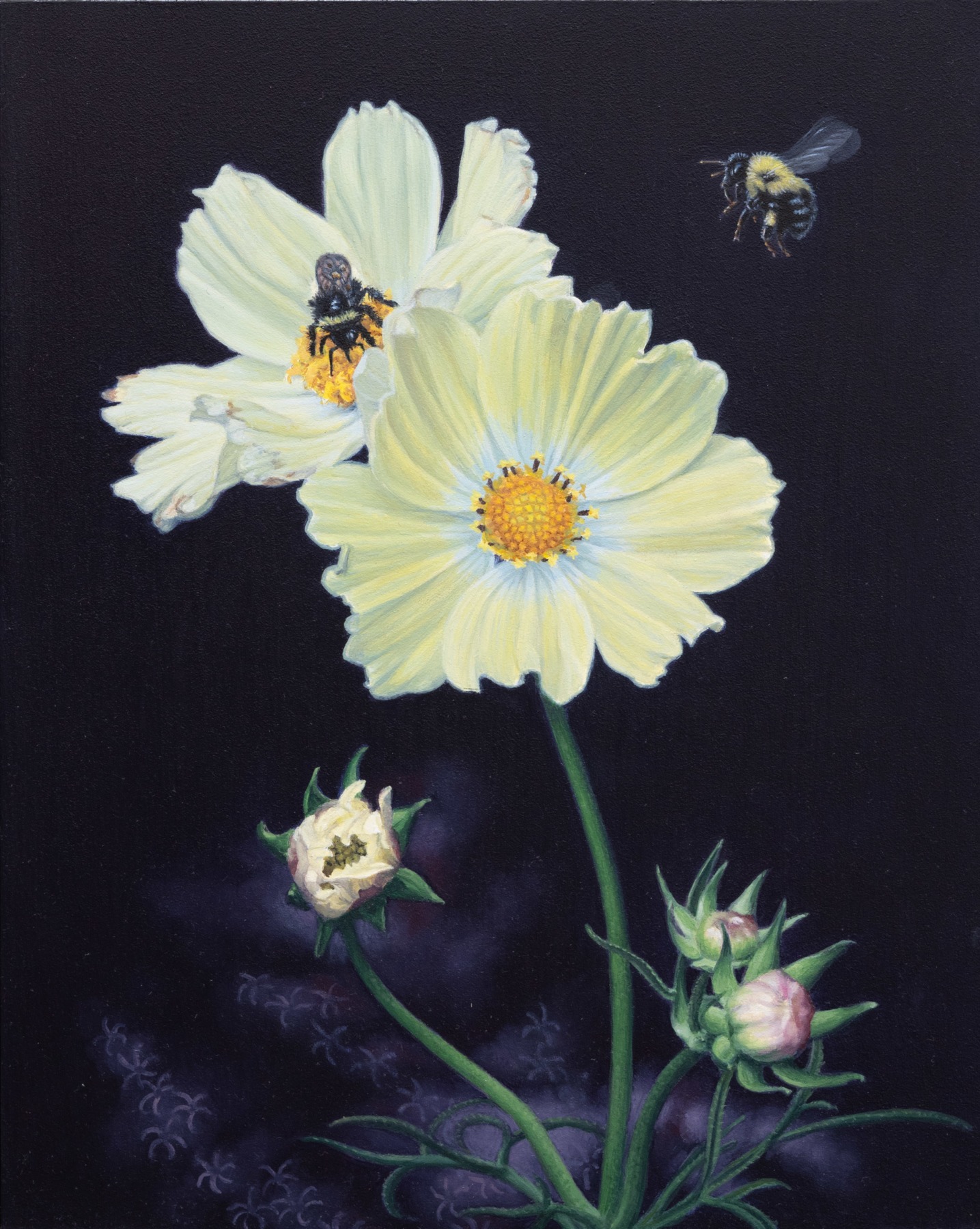 SUSAN MCDONNELL , Bumblebee and Cosmos, 2024