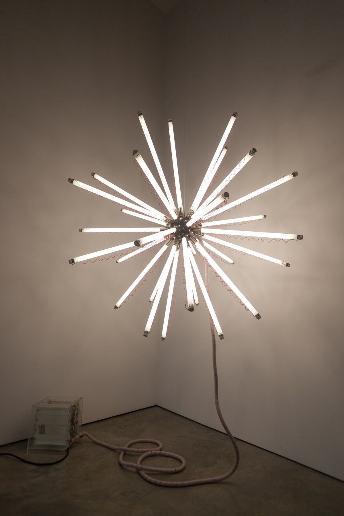 Mirando la flor, Installation view, 2016.