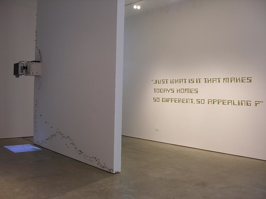 Miguel Angel Rojas, Sicardi Gallery installation view, 2008