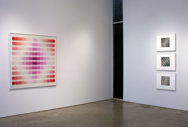 Manuel Espinosa, Sicardi Gallery installation view, 2010