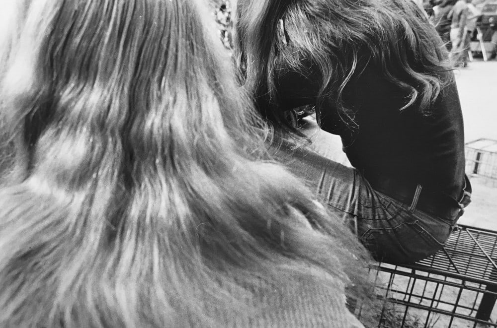 Hair, Hair, 1971, 11 x 14 inches
