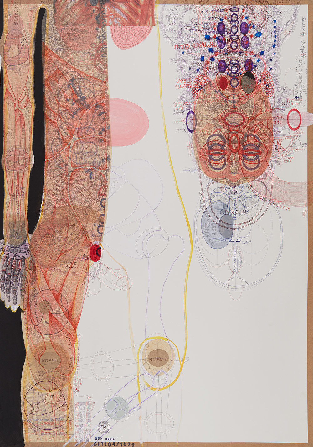 Lubo&scaron; Plný&nbsp;(1961) Czech Republic, Brain, 2016, Ink, acrylic, collage on paper, 39.37&nbsp;x 27.56 in