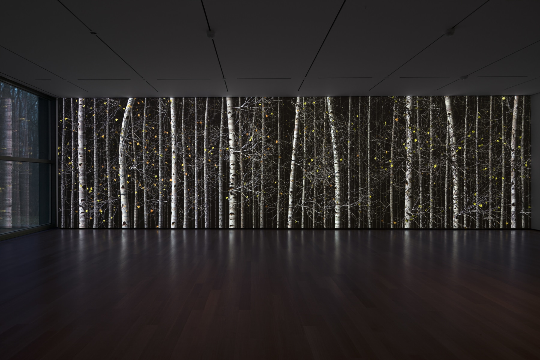 Jennifer Steinkamp:&nbsp;Blind Eye, Installation view, The Clark Art Institute, Williamstown, MA