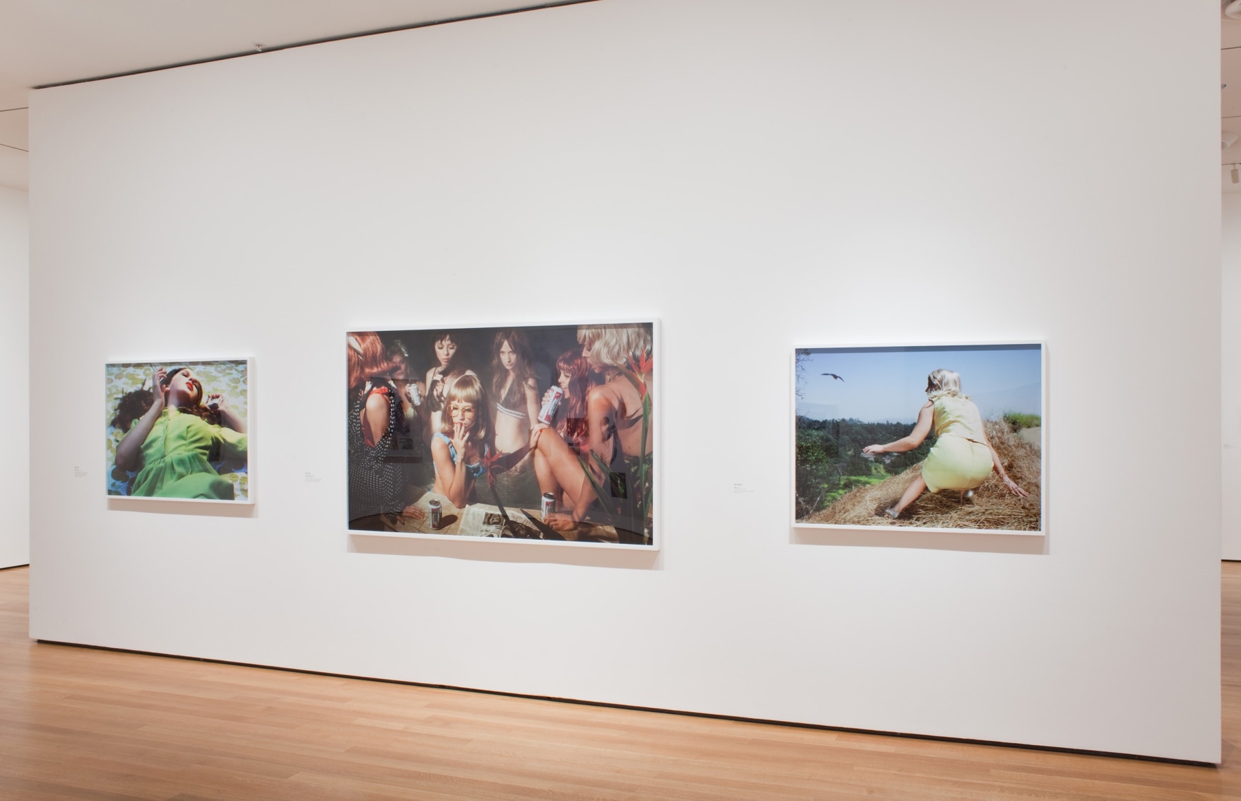 New Photography 2010, Installation view, The Museum of Modern Art, New York
