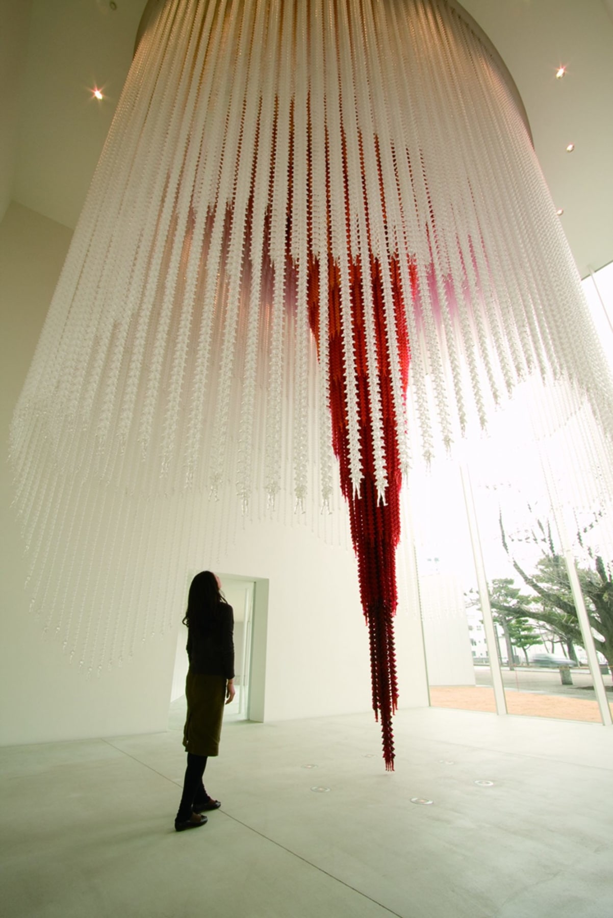 Cause and Effect, 2008