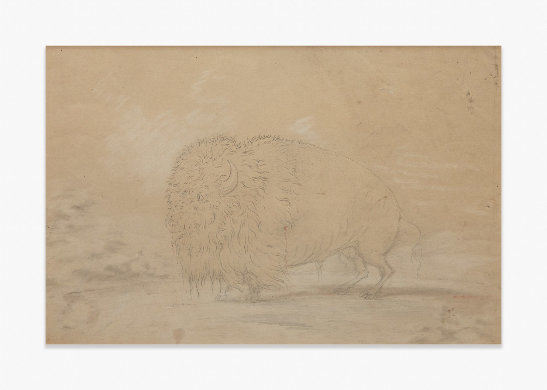 George Catlin   Wounded Bison
