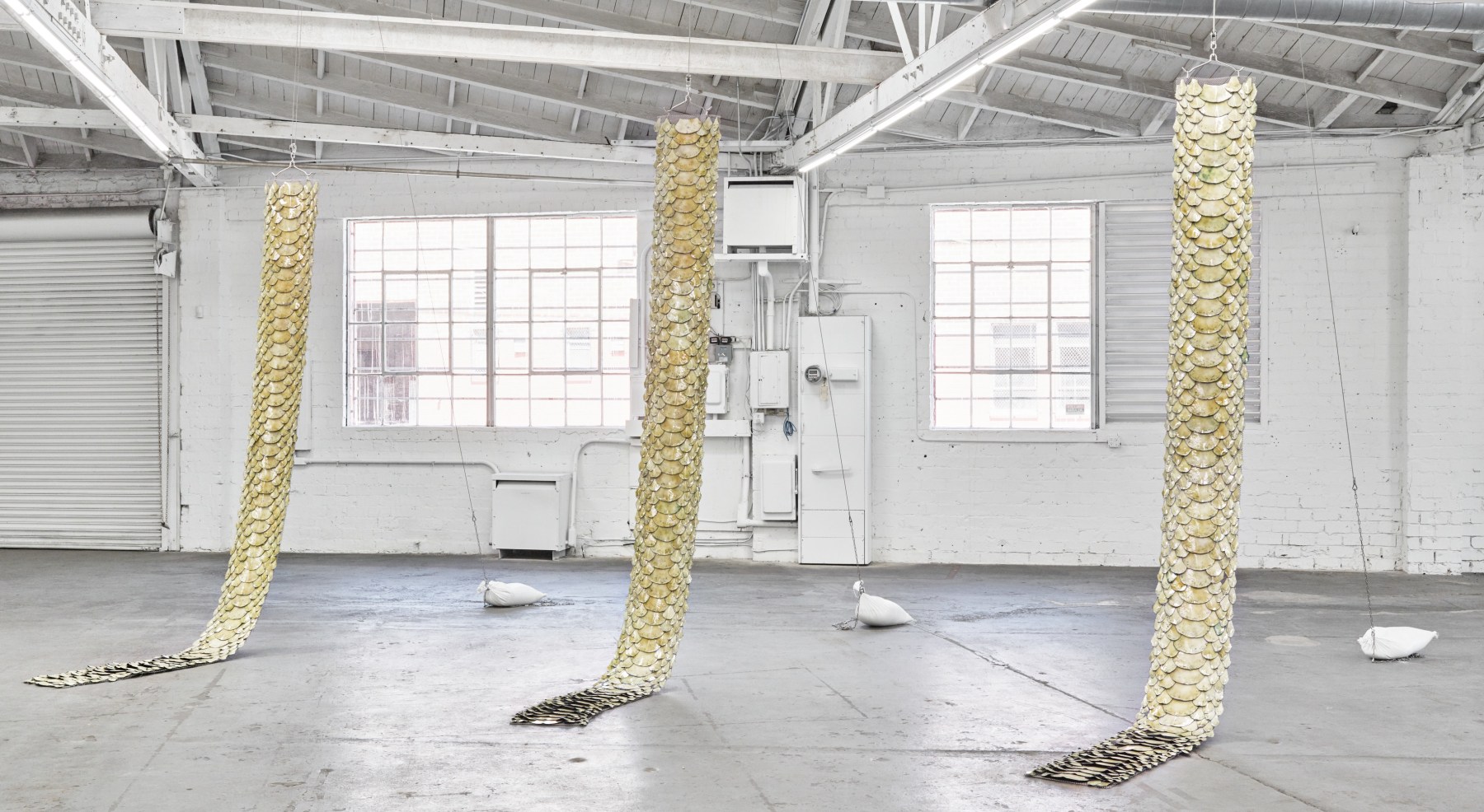 Installation view of snake with sexual interest in own tail, Los Angeles, Venus Over Los Angeles, 2016