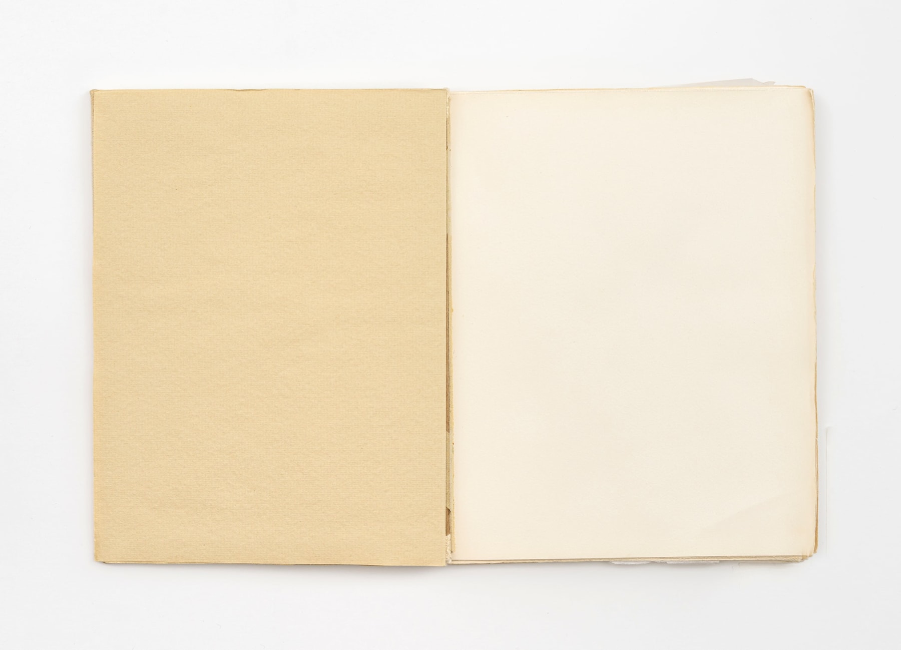 Richard Tuttle, Sparrow