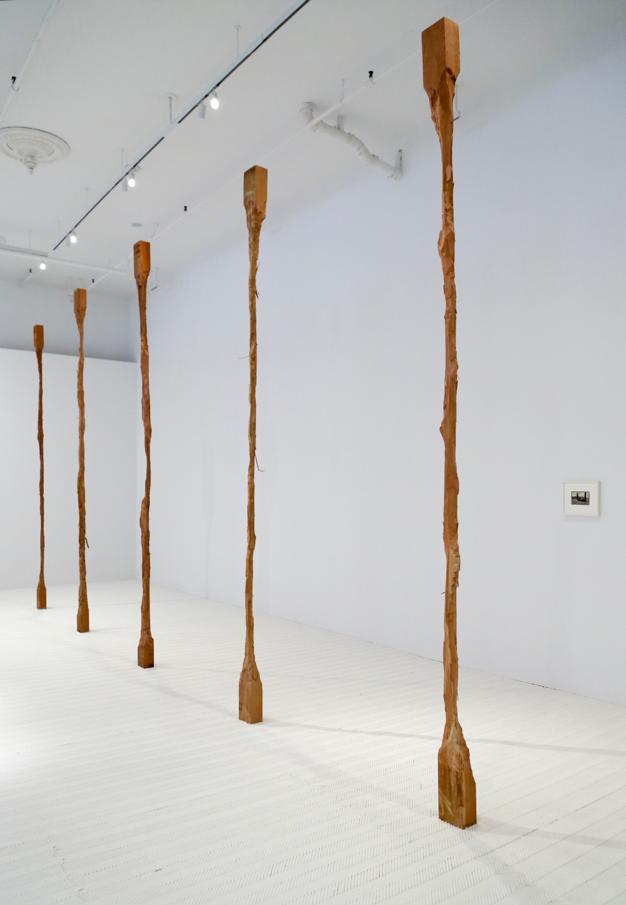 David Adamo / James Castle – installation view 6