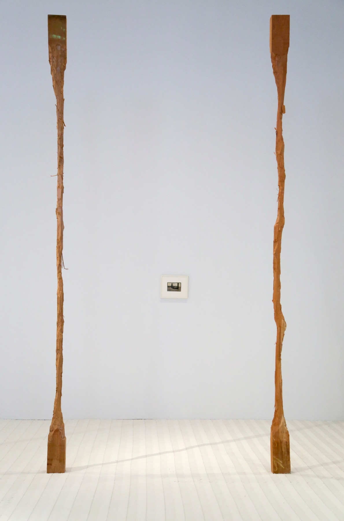 David Adamo / James Castle – installation view 5