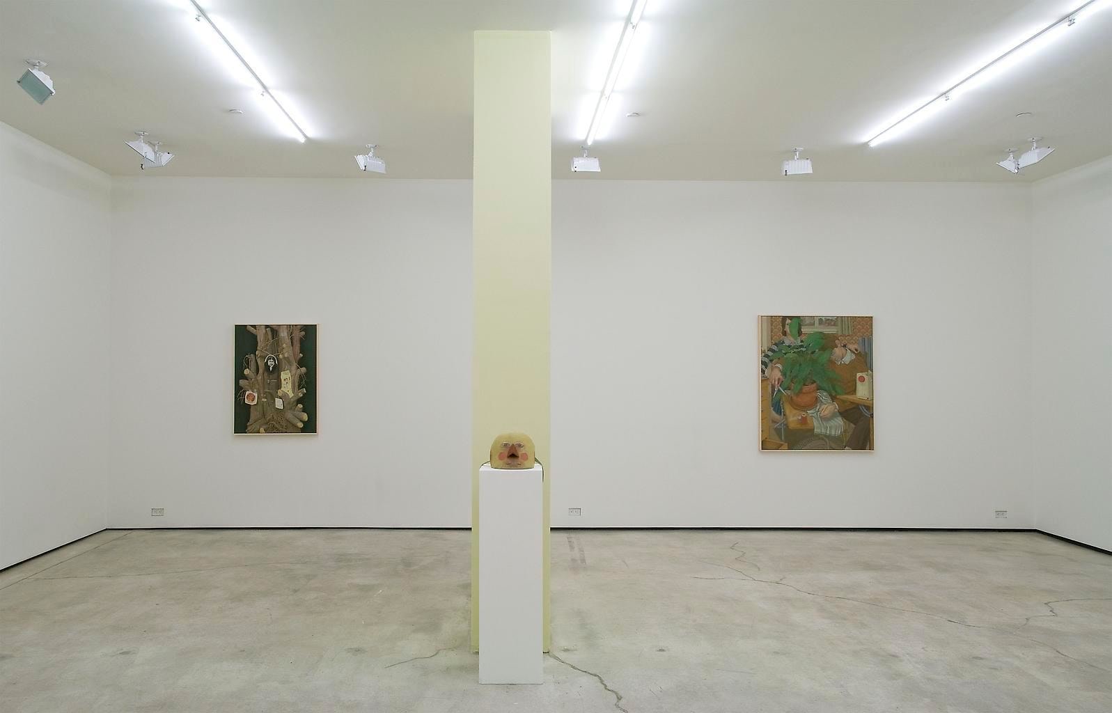  Installation view, Michael Cline, Arcadia, Marc Jancou, New York, March 18 - April 23, 2011