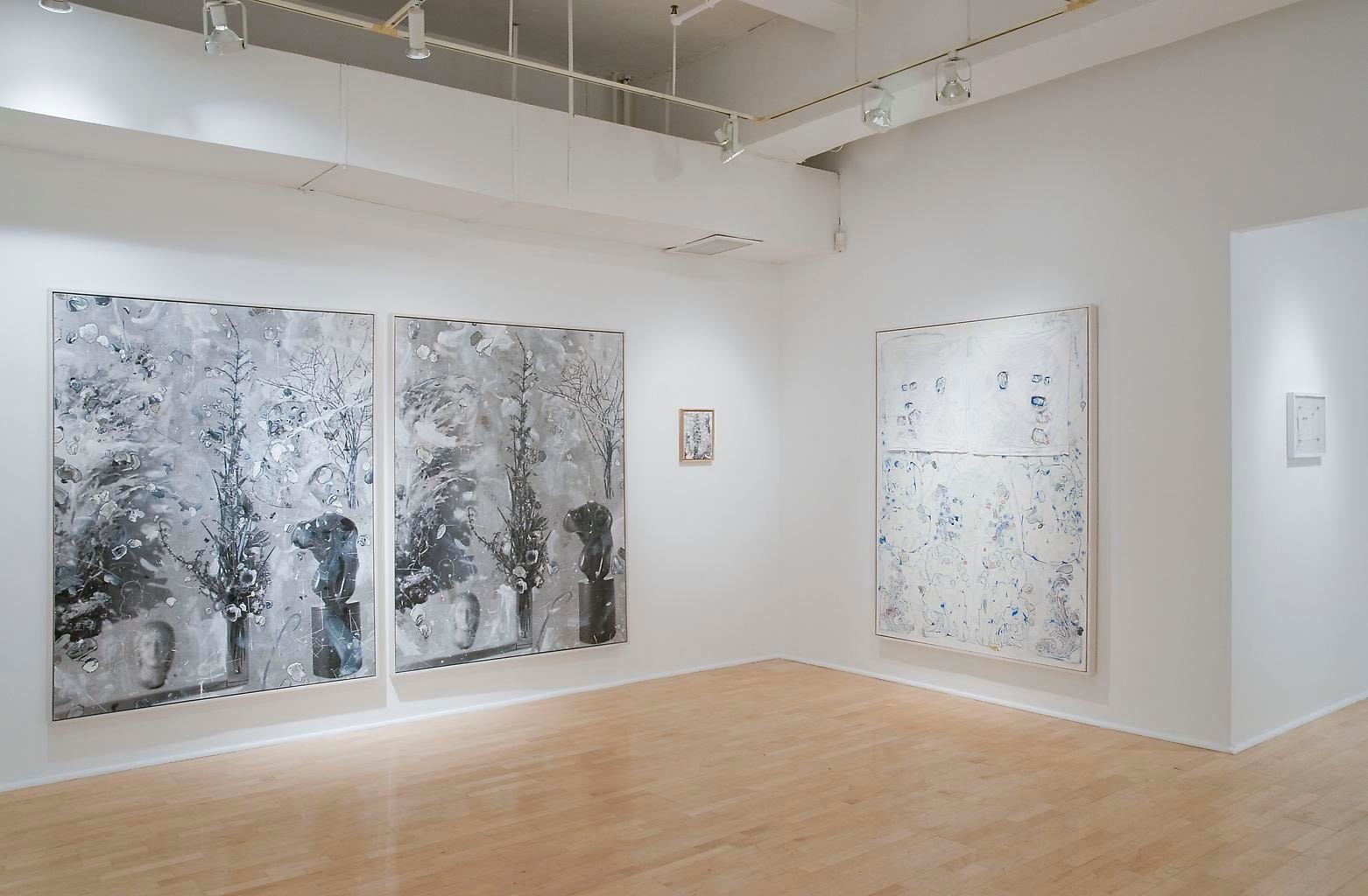  Installation view, Carter, Some Feelings, 1984, 1970, Marc Jancou, New York, May 11 - June 29, 2013