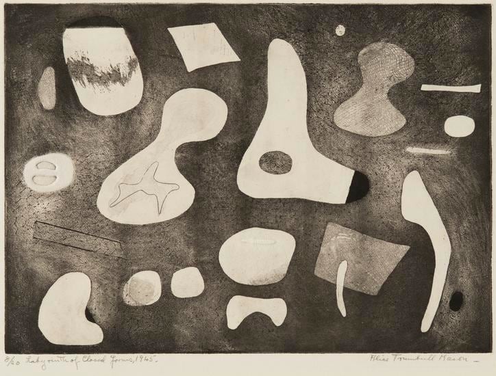 An etching in black ink on cream colored paper of biomorphic forms