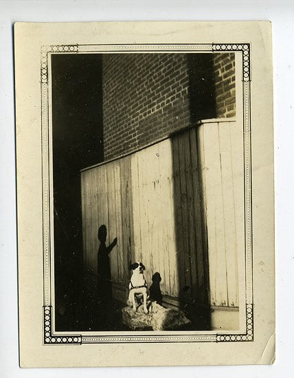 Dog with Shadow, 1930s, 3 x 3 14/16 in.
