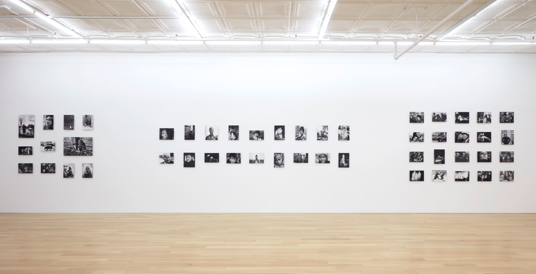 Installation view of Beast Of, They Stare and I&amp;nbsp;Stare 2, and I Stare 1, ca. 1950 - 2004, Peter Blum Gallery, New York, 2021