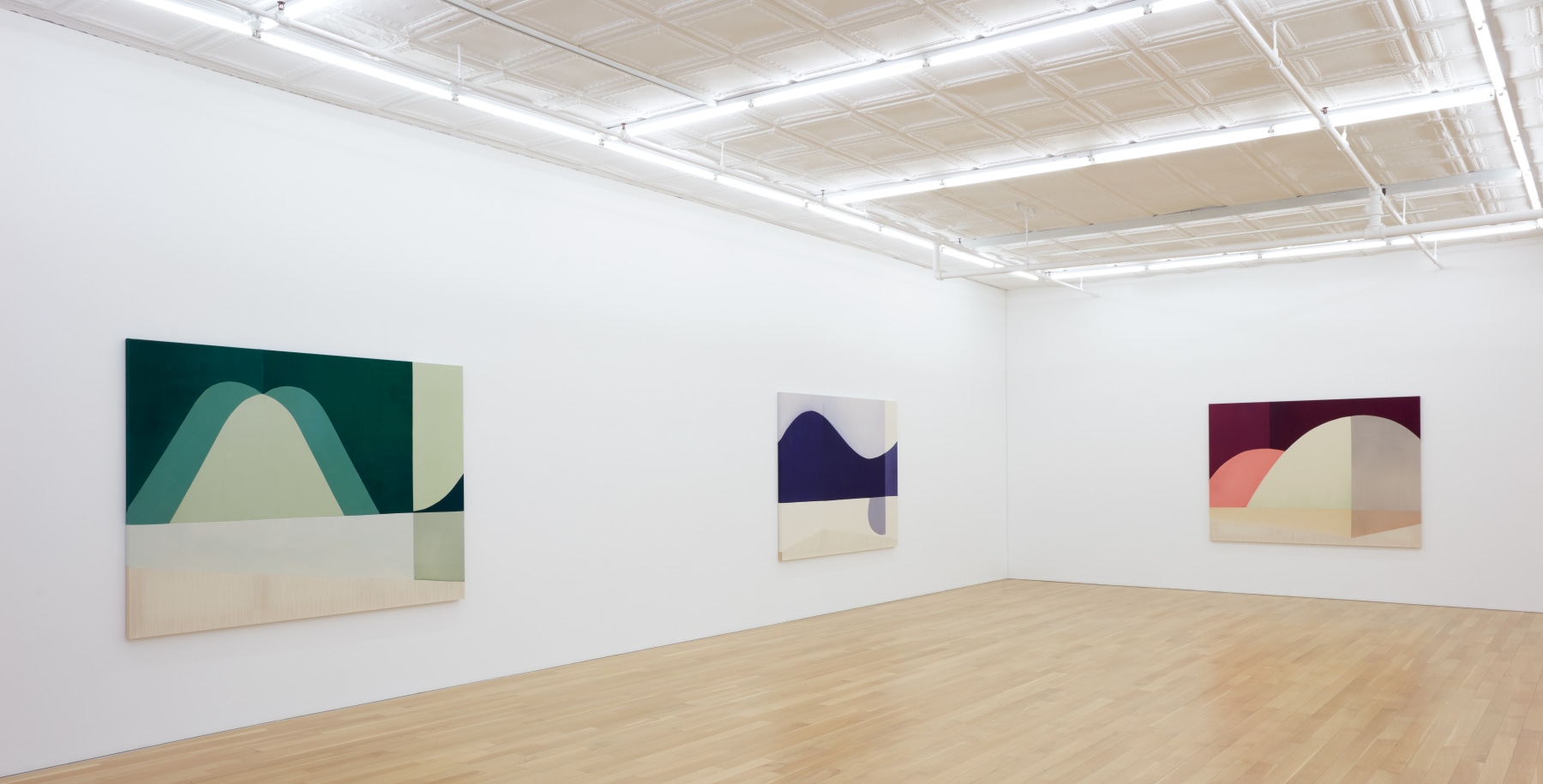 Installation view of Rebecca Ward, infinite plane, Peter Blum Gallery, New York, 2022