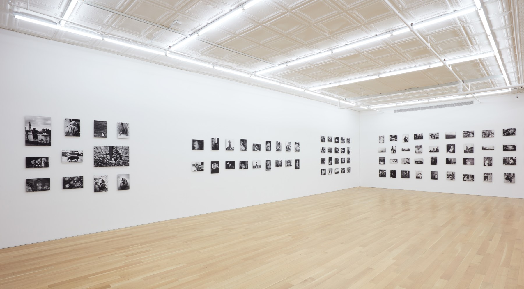 Installation view of Chris Marker:100 at Peter Blum Gallery, New York, 2021.