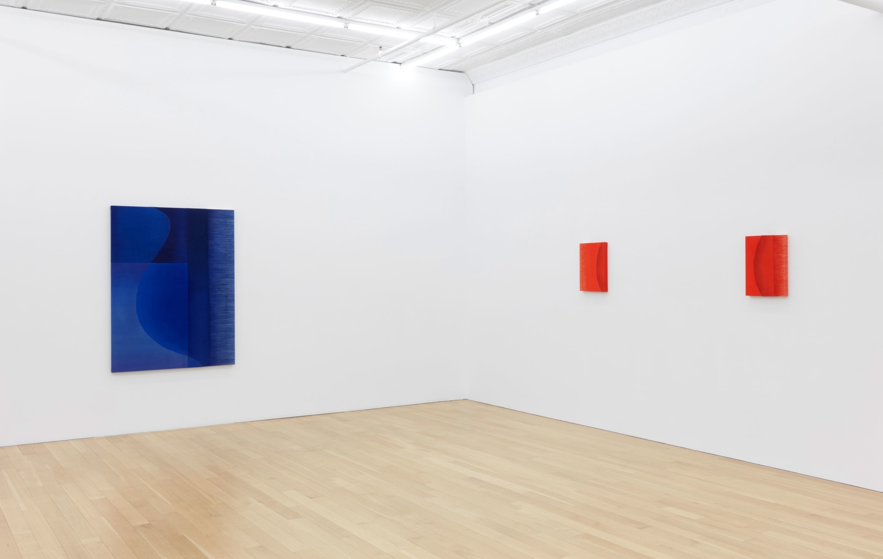 Installation view of Rebecca Ward, vector specter, 2025, Peter Blum Gallery, New York, NY.