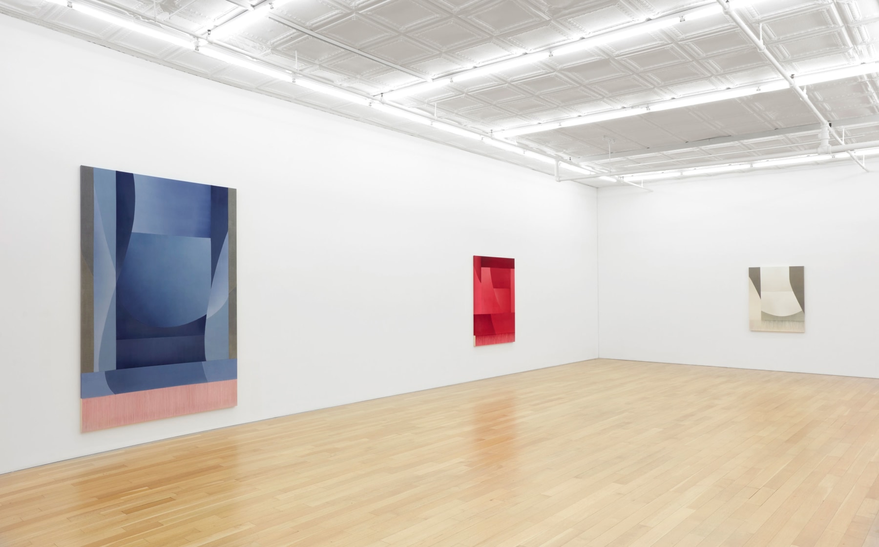 Installation view of Rebecca Ward, vector specter, 2025, Peter Blum Gallery, New York, NY.