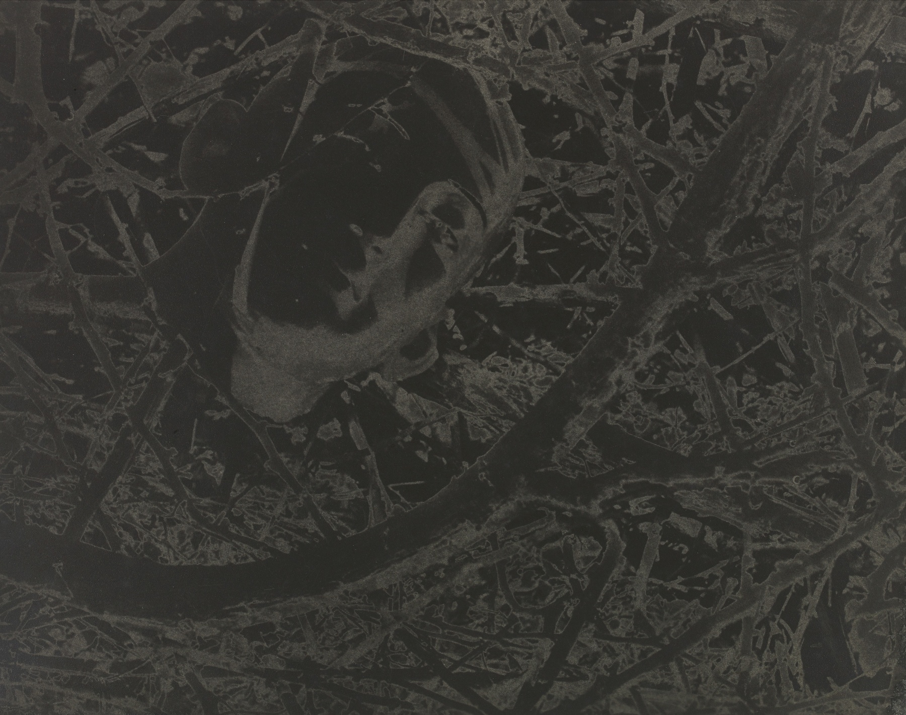 Lionel Wendt &ldquo;Untitled (Head Among Twigs)&rdquo;, ca. 1942