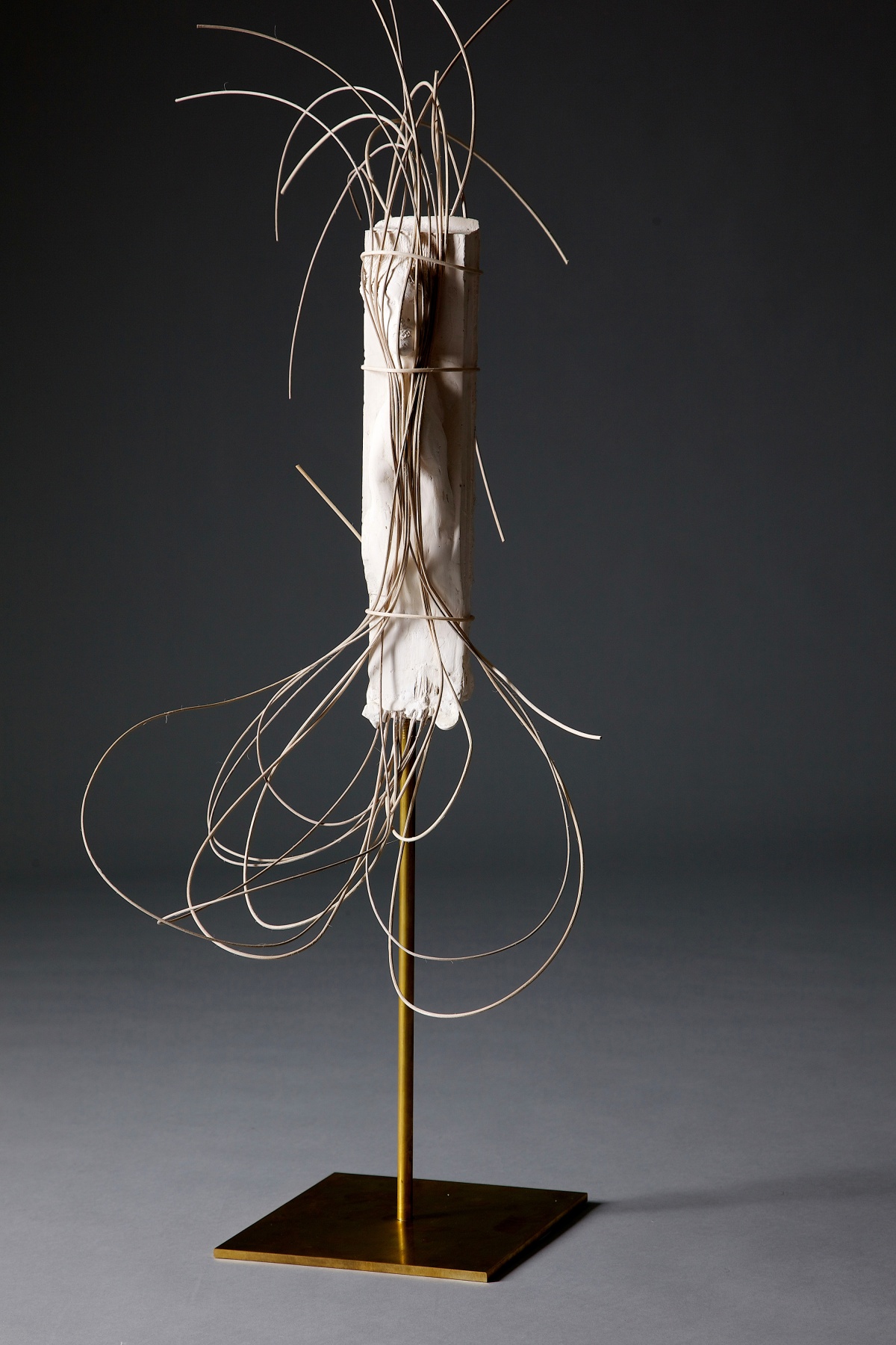 &quot;Trancing&quot;, 2013 Plaster, willow, brass