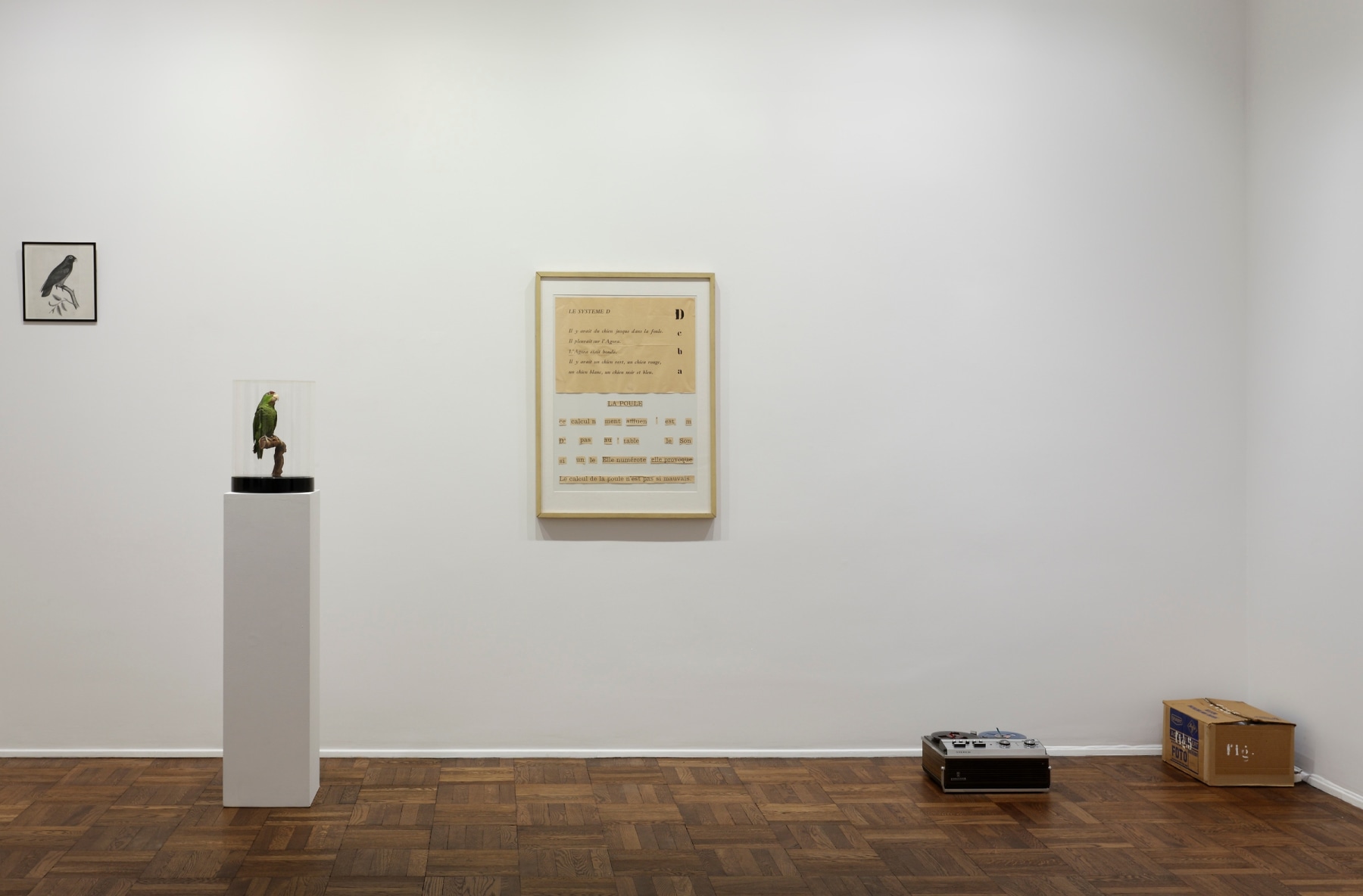 Marcel Broodthaers

&amp;ldquo;Dites partout que je l&amp;rsquo;ai dit&amp;rdquo;, 1974

Stuffed parrot under bell jar, audiotape, two

framed works on paper, painted box

Dimensions variable

MB 23