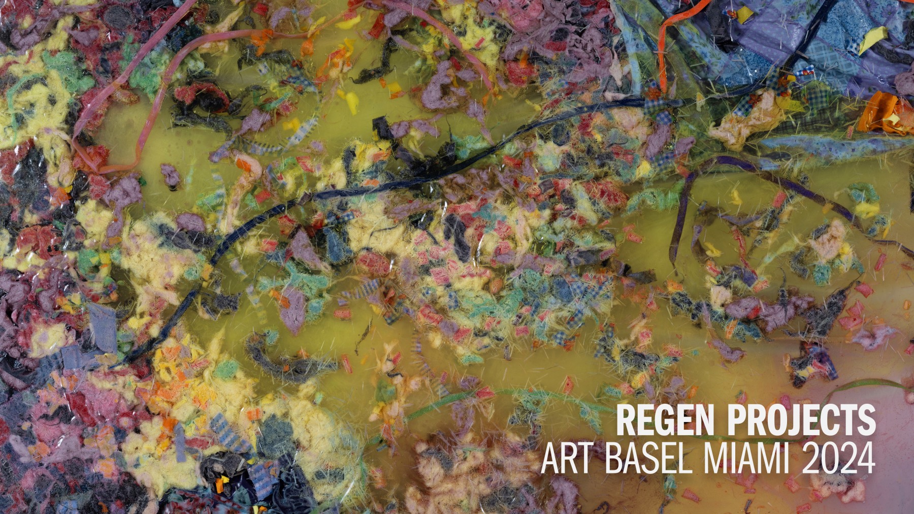 Art Basel Miami 2024 Online Viewing Room -  - Viewing Room - Regen Projects Viewing Room