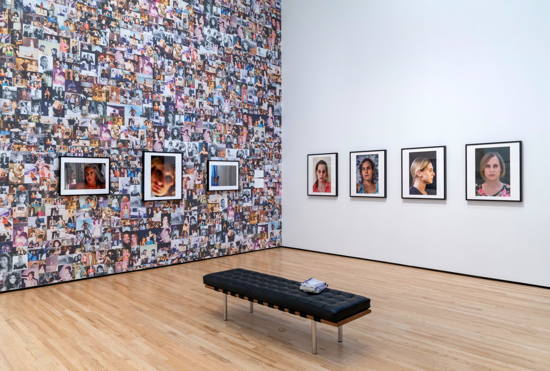 Viewing Room - Zackary Drucker - ICONS at the Baltimore Museum of Art - Luis De Jesus Los Angeles