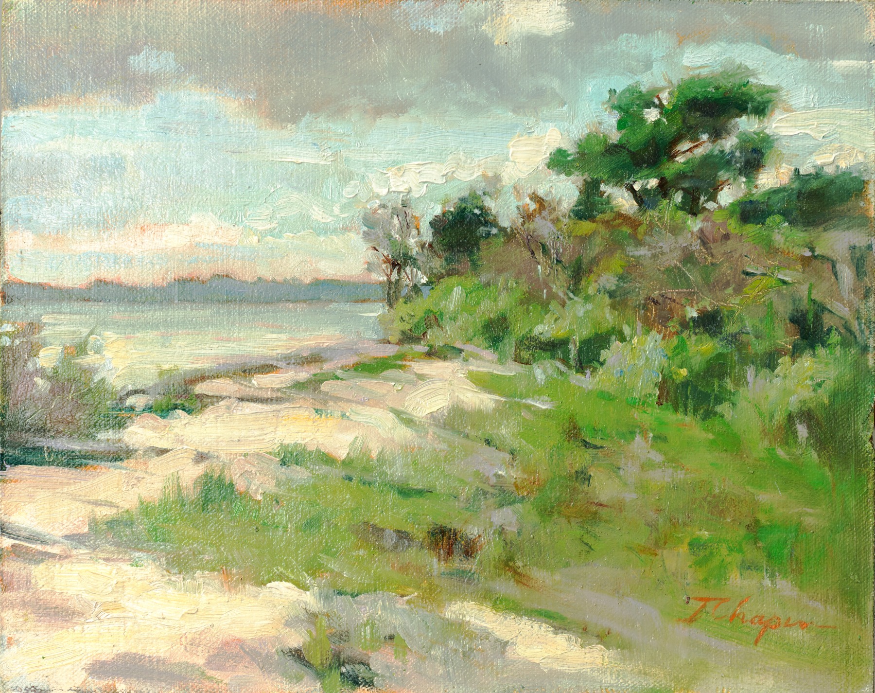 Jane Chapin: Plein Air Landscapes -  - Viewing Room - Silas Von Morisse Viewing Room