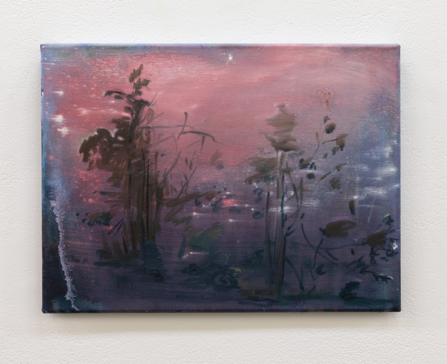 Elizabeth Magill - Her Nature -  - Viewing Room - Online Viewing Room