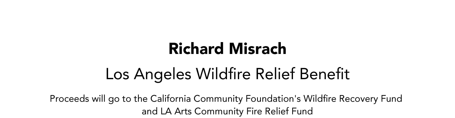 Richard Misrach | Los Angeles Wildfire Relief Benefit -  - Viewing Room - Marc Selwyn Fine Art Viewing Room