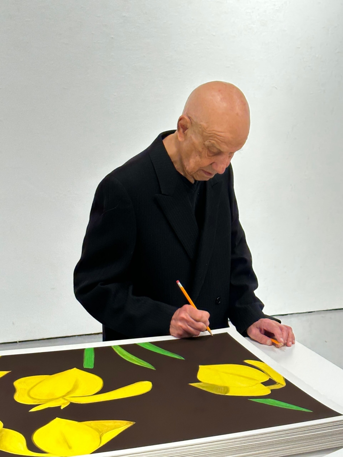 ALEX KATZ: FLOWERS - MAY 20 – JULY 29, 2023 - Viewing Room - McClain Gallery Viewing Room