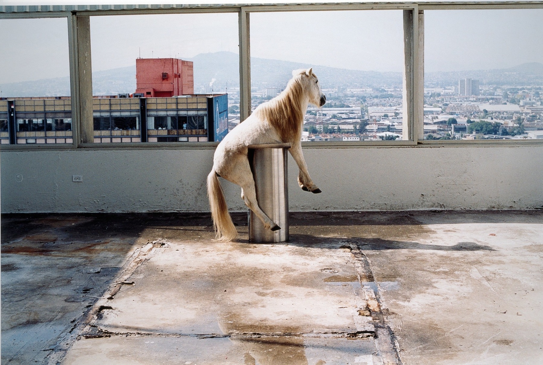 Fuera del Carrusel, 2002, C-print, 82.5 x 102.5 cm (32.48 x 40.35 in)