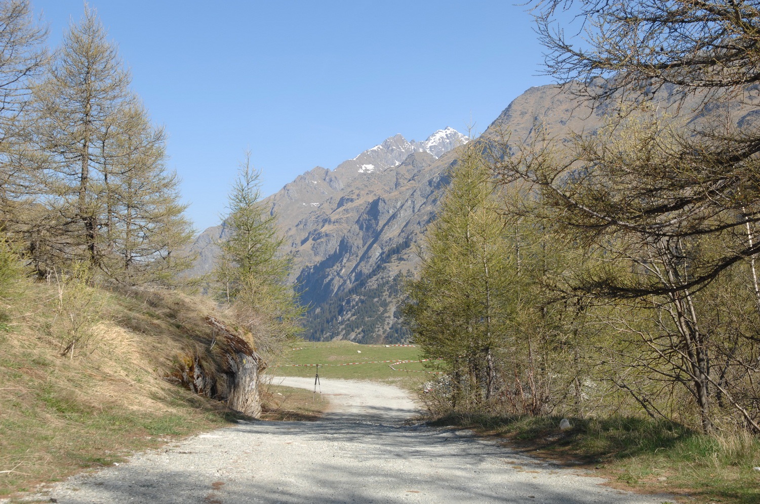 Michael Heizer: An American in Valais -  - Viewing Room - From the Research Department