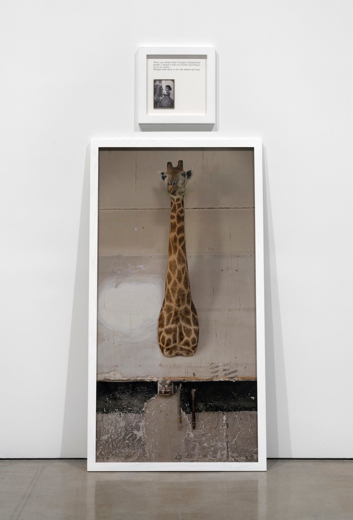 Sophie Calle
Autobiographies (The Giraffe), 2012
digital print mounted on aluminum, text panel with black &amp;amp; white photograph and found frame
framed text: 19 3/4 x 19 3/4 in. (50 x 50 cm)
framed photograph: 80 3/4 x 43 3/8 in. (205 x 110 cm)&amp;nbsp;

Edition 4 of 5 (English)

Edition of 5 + 1 AP (English), Edition of 5 + 1 AP (French)