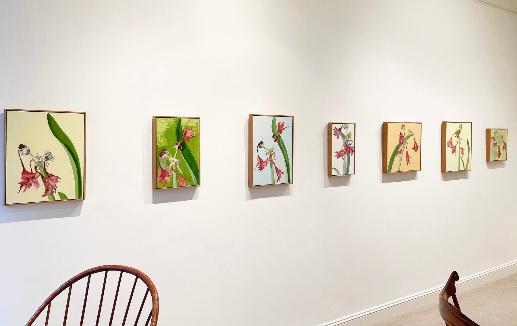 Lois Dodd - An Amaryllis - Viewing Room - Alexandre Gallery Viewing Room