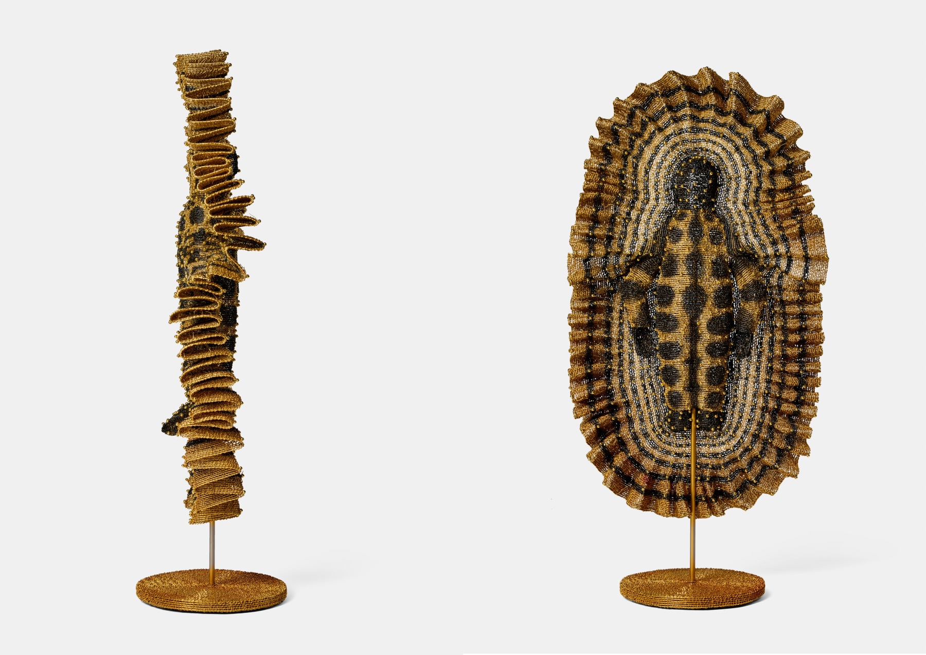 Walter Oltmann | INSTAR -  - Viewing Room - Goodman Gallery