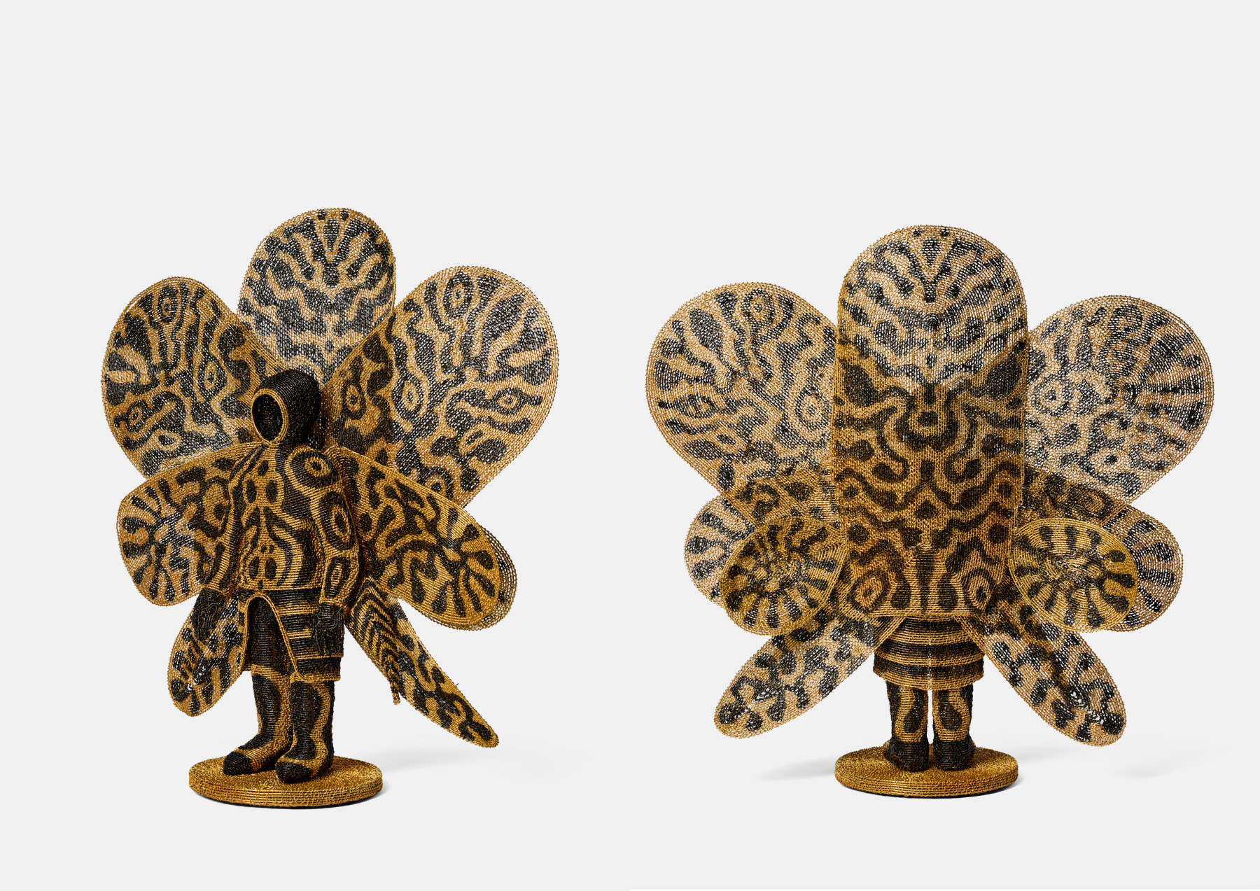 Walter Oltmann | INSTAR -  - Viewing Room - Goodman Gallery