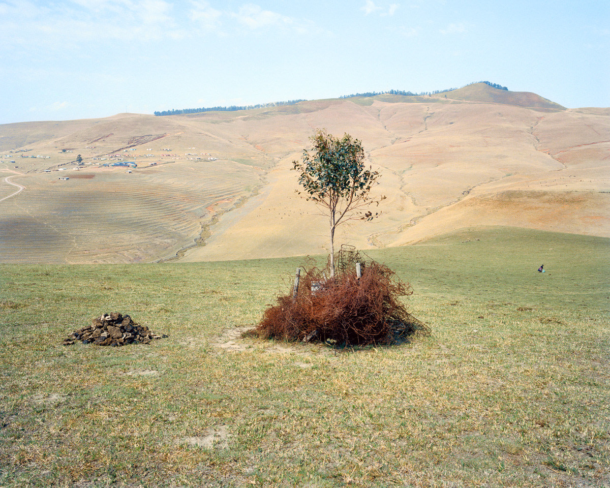 Lindokuhle Sobekwa | 'Umkhondo: Going Deeper' JAG 2024 -  - Viewing Room - Goodman Gallery