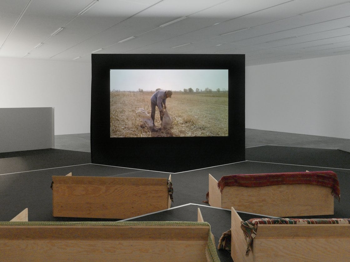 Wang Bing Dossier 2024 -  - Viewing Room - Goodman Gallery