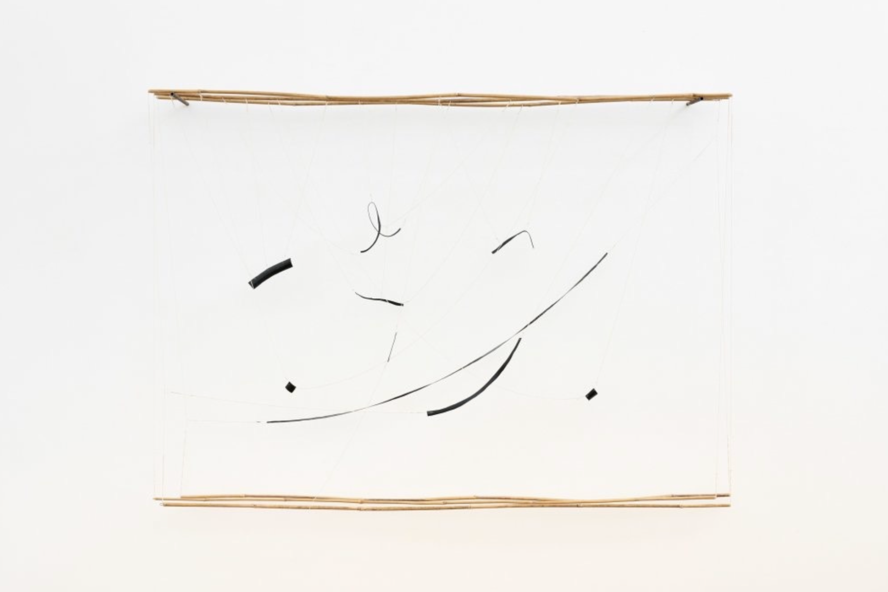 Lifelines | Group Presentation -  - Viewing Room - Goodman Gallery