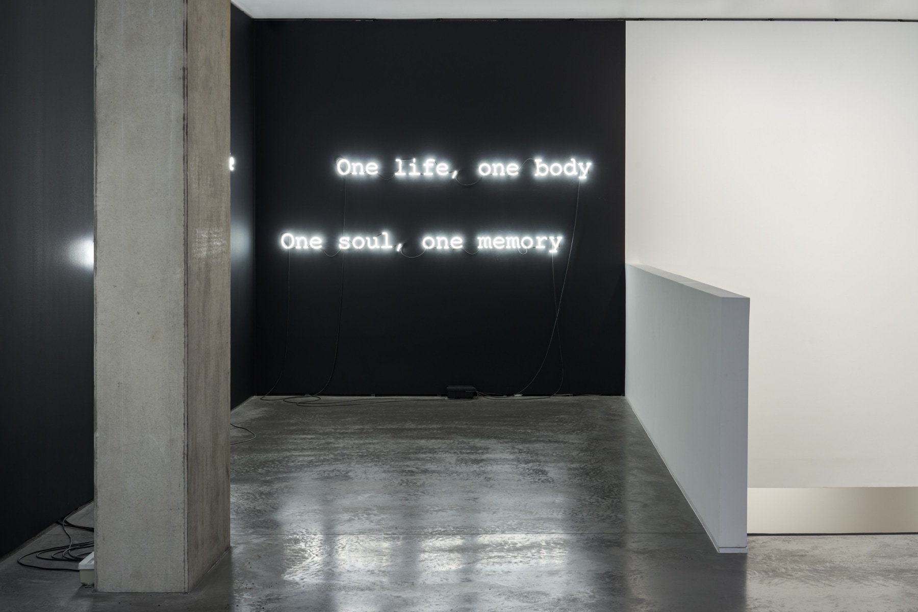 Grada Kilomba | One soul, one memory -  - Viewing Room - Goodman Gallery Viewing Room