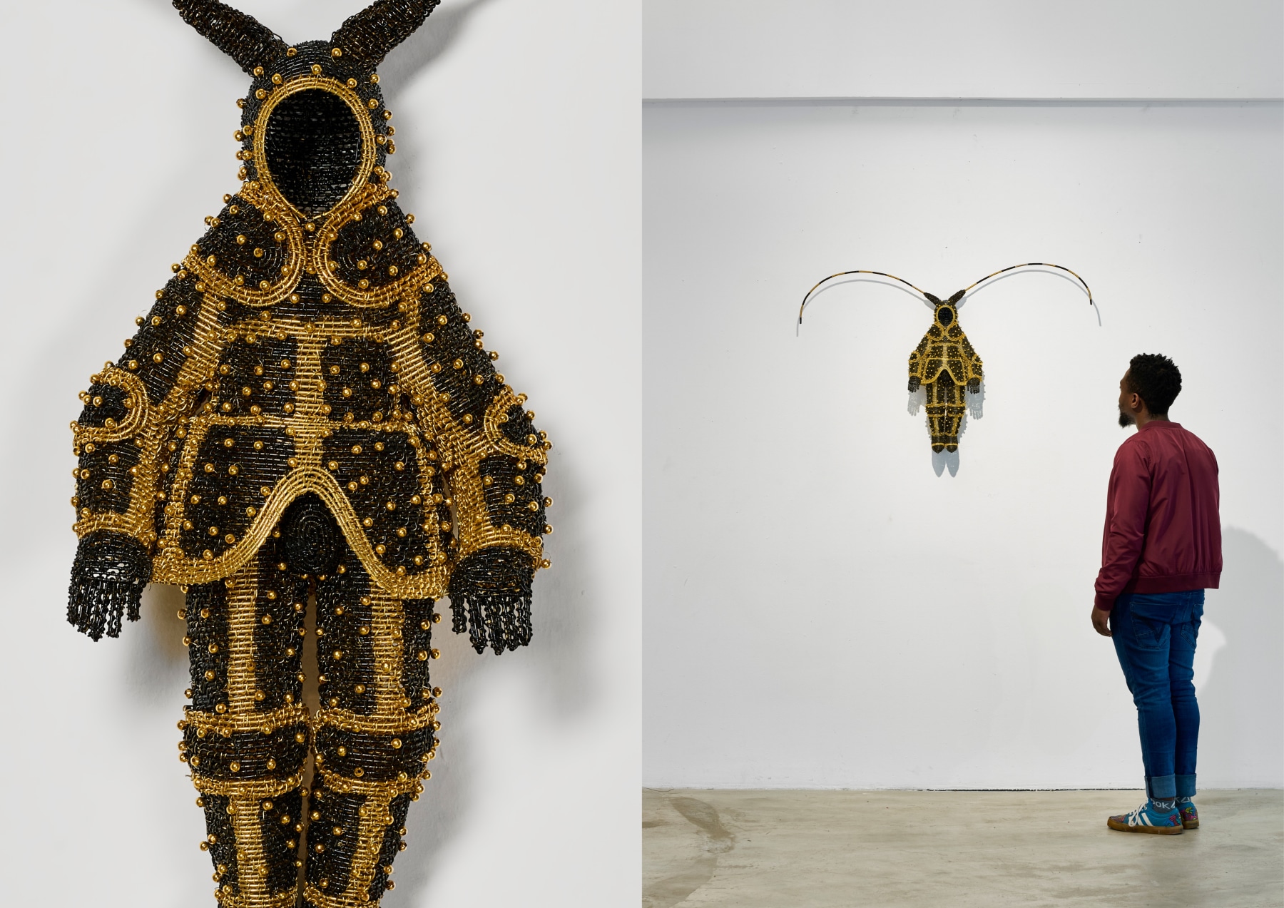 Walter Oltmann | INSTAR -  - Viewing Room - Goodman Gallery