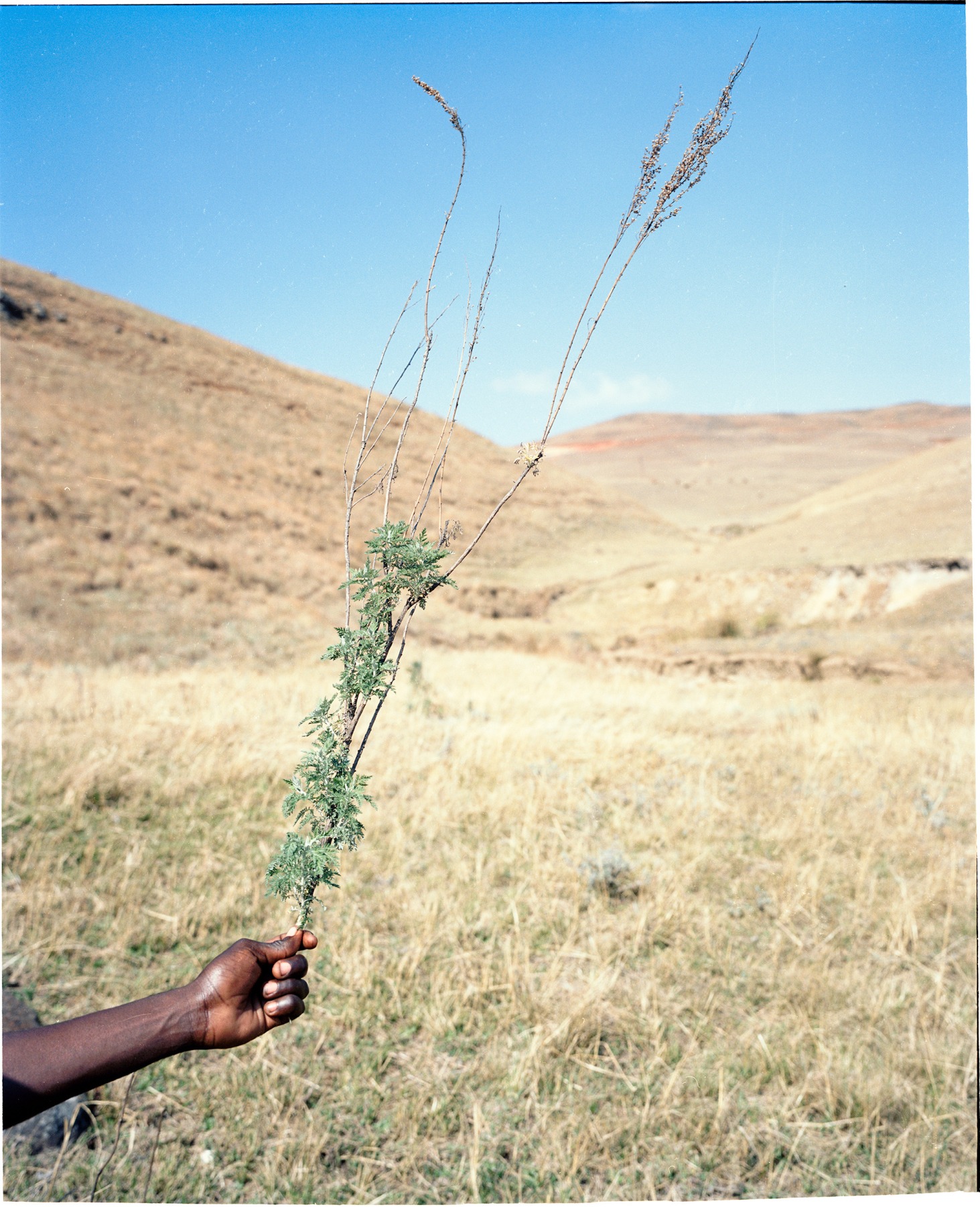 Lindokuhle Sobekwa | 'Umkhondo: Going Deeper' JAG 2024 -  - Viewing Room - Goodman Gallery