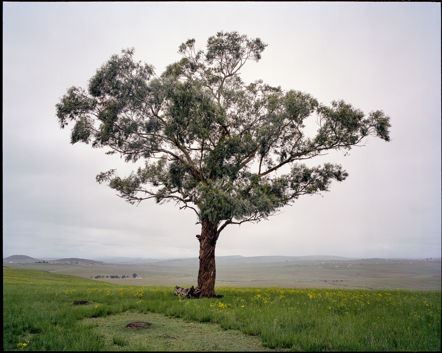 Lindokuhle Sobekwa | 'Umkhondo: Going Deeper' JAG 2024 -  - Viewing Room - Goodman Gallery