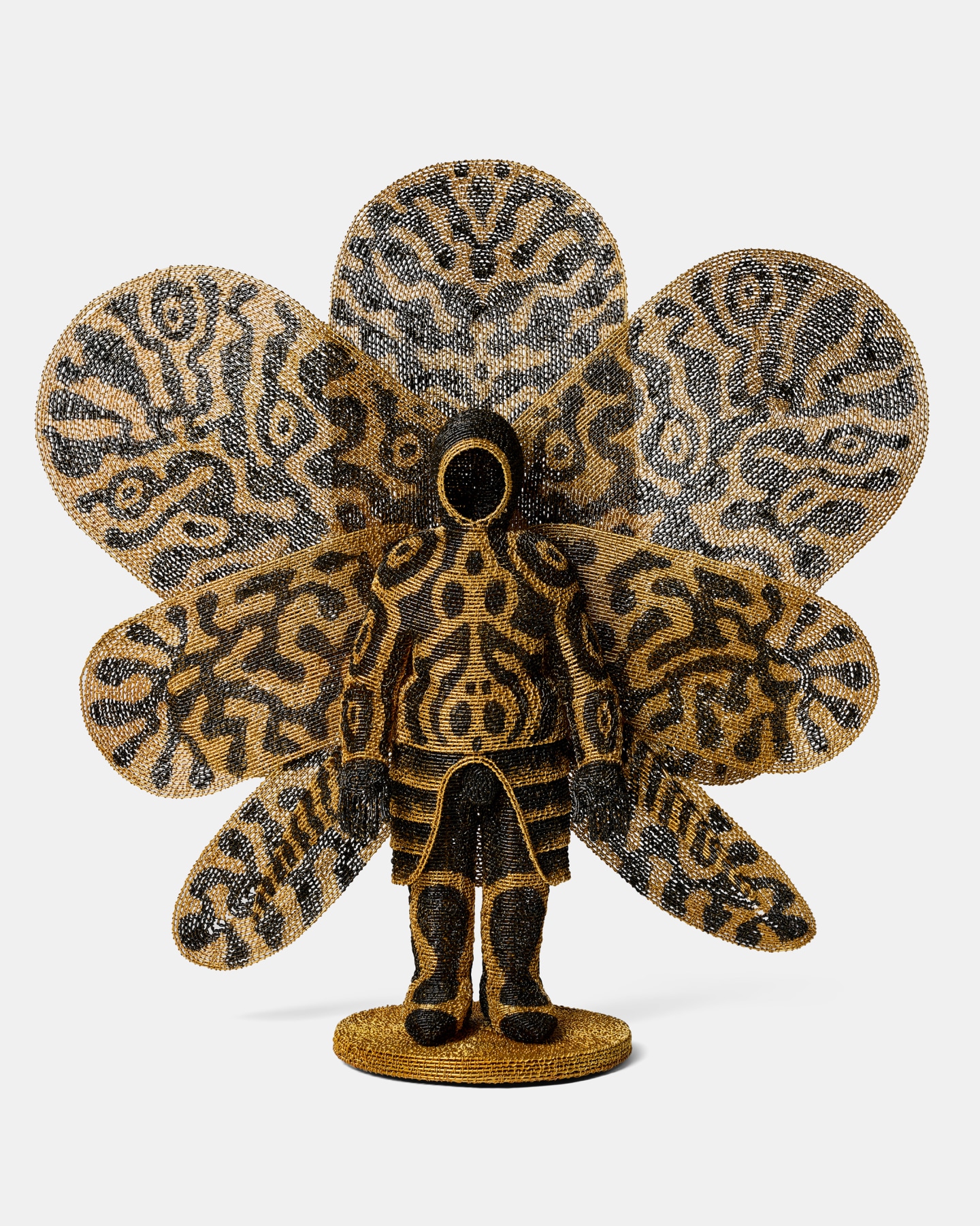 Walter Oltmann | INSTAR -  - Viewing Room - Goodman Gallery