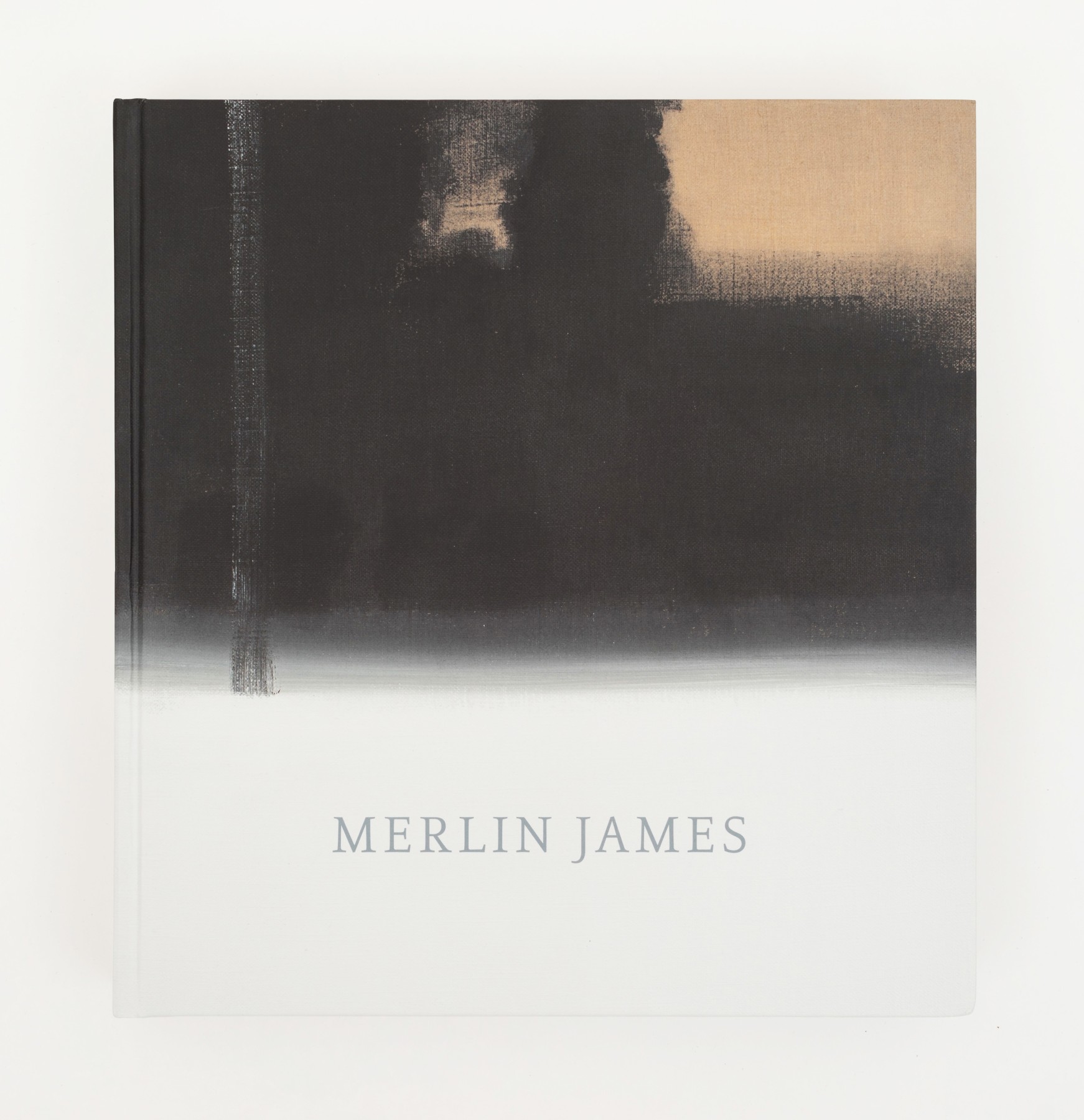 Merlin James - Artists - Kerlin Gallery