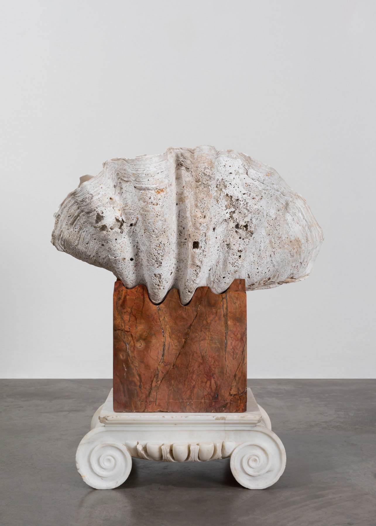 Dorothy Cross
Clam, 2023
antique clam shell, Damascus rose marble, antique marble capital
77 x 65 x 41 cm / 30.3 x 25.6 x 16.1 in