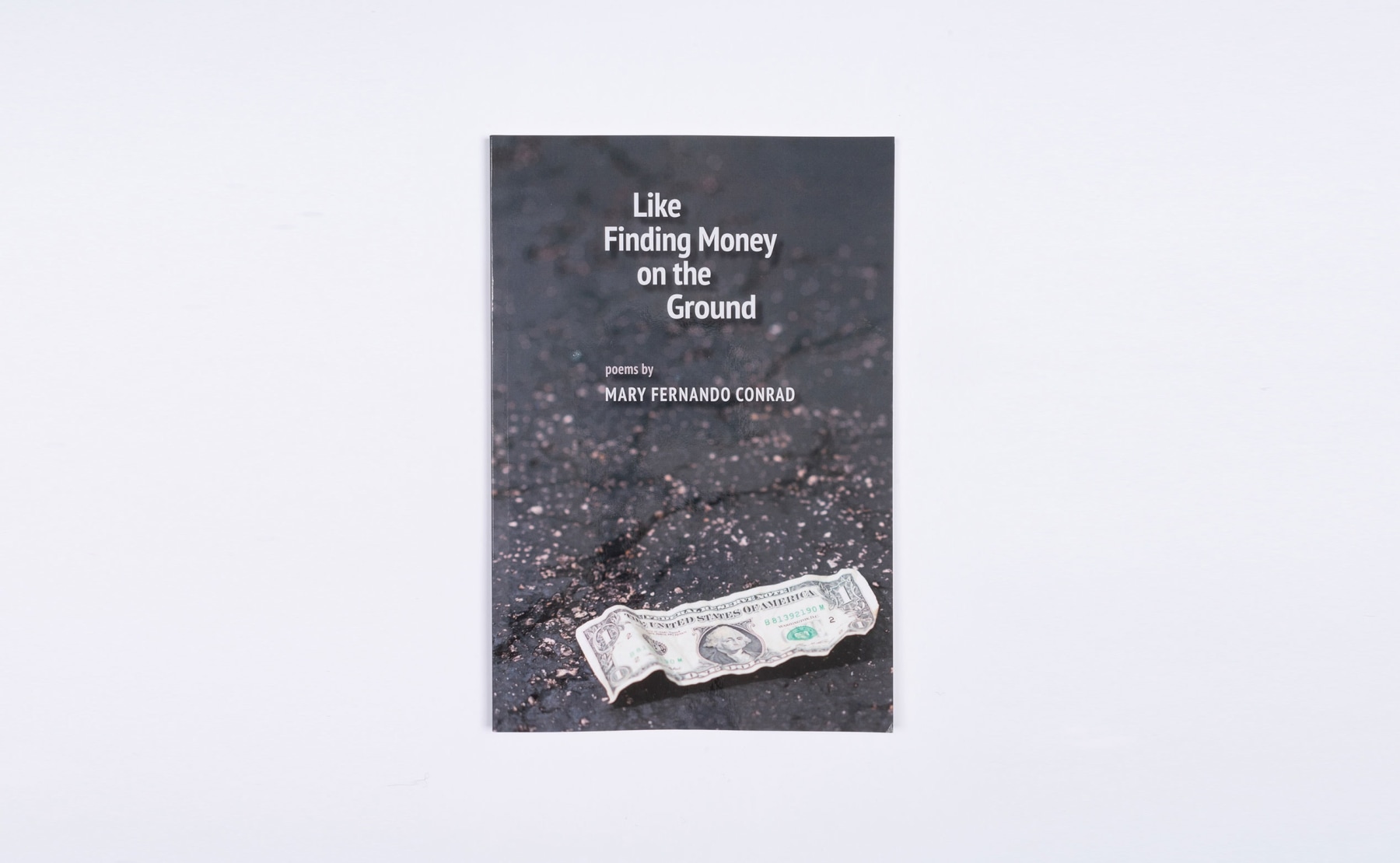 Like Finding Money on the Ground - Works - Mary Fernando Conrad